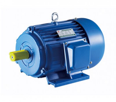  Y系列三相异步电动机