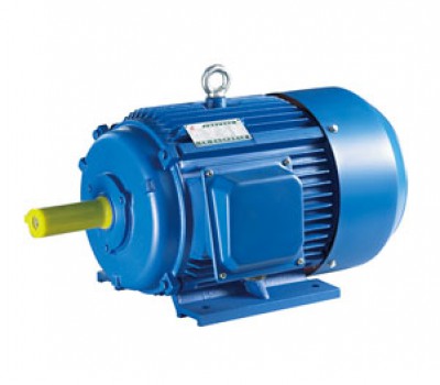  Y系列三相异步电动机